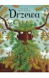Drzewa