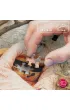 Puzzle 1000 CherryPazzi Springtime Tea�31407
