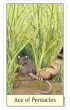Cats Eye Tarot, karty do wr�enia