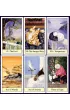 Cats Eye Tarot, karty do wr�enia
