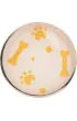 Happy Color, Magnesy szklane 6 szt - CAT&DOG