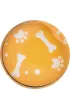 Happy Color, Magnesy szklane 6 szt - CAT&DOG