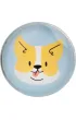 Happy Color, Magnesy szklane 6 szt - CAT&DOG