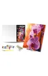 Qbee Malowanie po numerach - Orchidea 40x50cm