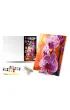 Qbee Malowanie po numerach - Orchidea 40x50cm