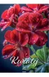 Kalendarze �cienne Kalendarz �cienny ma�y 2026 Kwiaty KSM-6