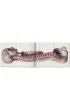 Atlas of Human Anatomy AND Surgery