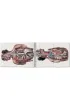 Atlas of Human Anatomy AND Surgery