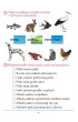Pierwszotecik. Testy kompetencji. Klasa 1