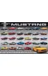 Puzzle 1000 el. Ford Mustang Evolution Eurographics