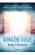 Odważne dusze – Robert Schwartz – okładka ebook