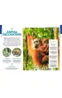 Indonesia. Lonely Planet