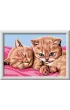 Malowanie po numerach CreArt - Rude koci�ta Ravensburger