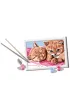 Malowanie po numerach CreArt - Rude koci�ta Ravensburger
