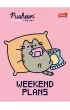 St. Majewski Zeszyt A5 laminowany Pusheen linia 32 kartki