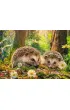 Puzzle 500 el. Cute Visitors CherryPazzi