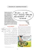 Asteriks. Tom 17. Osiedle bog�w (twarda oprawa)