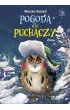 Pogoda dla puchaczy. Zima