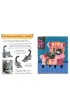 Ma�y atlas kot�w (i kociak�w) Ewy i Paw�a Pawlak�w