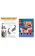 Ma�y atlas kot�w (i kociak�w) Ewy i Paw�a Pawlak�w