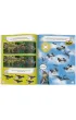 LEGO® Jurassic World™. Jurajska przygoda Bena