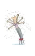 Jak w�osy taty wyrwa�y si� w �wiat