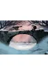 Silla. Opowie�ci �wiata Zorzy. Tom 1
