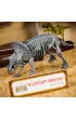 Lisciani I'm Genius Laboratorium Paleontologii  304-PL92383