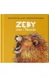 Z�by, ciosy i siekacze
