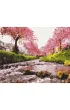 Brushme Malowanie po numerach - Rzeka przy sakurze 40x50cm