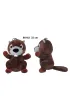 B�br 22cm Sun-Day