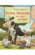 Krowa Matylda nie chce si kpa