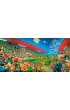 Puzzle 4000 el. Football Championship (Art Collection) Castorland