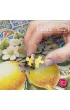 Puzzle 1000 el. Mosaic of Summer 31315 CherryPazzi