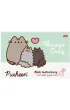 Pakiet Pusheen