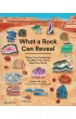 What a Rock Can Reveal. Where They Come From And What They Tell Us About Our Planet