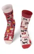 Skarpety d�ugie Kocia mama 35-38