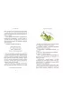 Kubu� Puchatek. By� sobie mi�