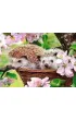 Puzzle 120 el. Wiosenny czas Castorland