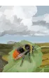 Le�ne rozdanie: Dartmoor - Exmoor REBEL