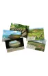 Le�ne rozdanie: Dartmoor - Exmoor REBEL