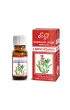 Etja-olejki Naturalny Olejek Eteryczny z Drzewa R�anego 10 ml