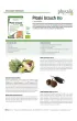 Physalis Zestaw suplement�w diety: Tabletki na p�aski brzuch + Tabletki na detoksykacj� w�troby 45 tab. + 30 tab.