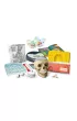 Anatomia Clementoni