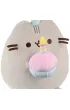 Pusheen z tortem