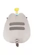 Pusheen z tortem