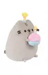 Pusheen z tortem