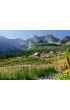 Puzzle 1000 el. G�sienicowa hall in Tatras CherryPazzi