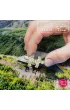 Puzzle 1000 el. G�sienicowa hall in Tatras CherryPazzi