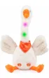 Zwariowana G� Dumel